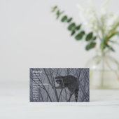 Carte De Visite Raccoon (Debout devant)