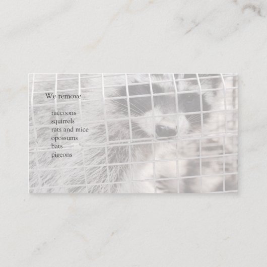 Carte De Visite Raccoon dans un piège (Dos)