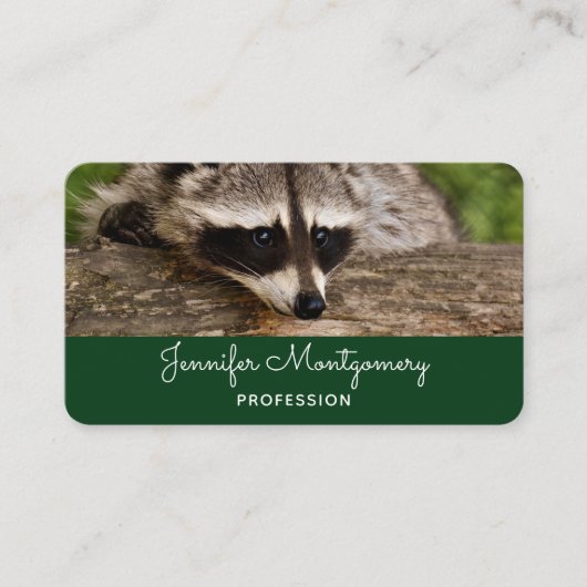 Carte De Visite Raccoon mignon reposant sur un journal (Devant)