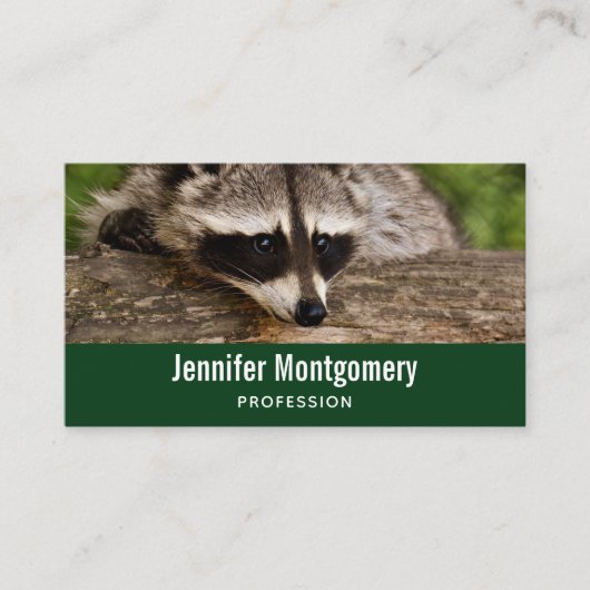 Carte De Visite Raccoon mignon reposant sur un journal (Devant)