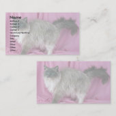 Carte De Visite Ragdoll, bleu admis (Devant / Derrière)