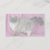Carte De Visite Ragdoll, bleu admis (Dos)