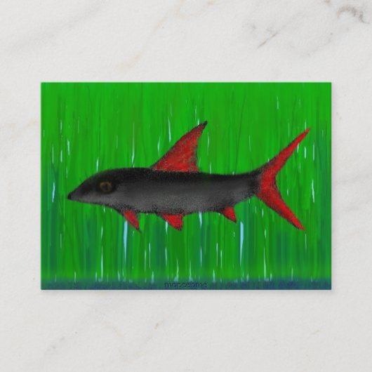 Carte de visite Rainbow Shark (Devant)