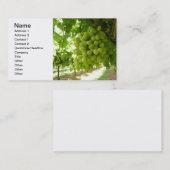 Carte De Visite Raisins verts sur la vigne (Devant / Derrière)