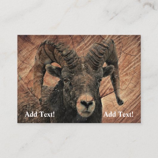 Carte de visite Ram (Devant)