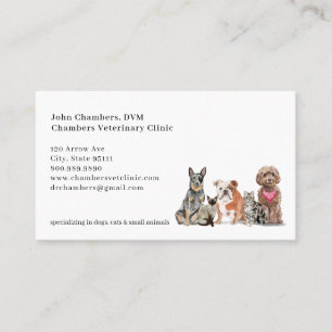 Carte De Visite Rappel des affaires et des rendez-vous vétérinaire
