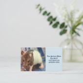 Carte De Visite rat de bébé (Debout devant)