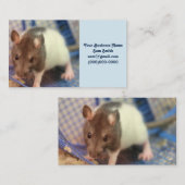 Carte De Visite rat de bébé (Devant / Derrière)