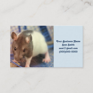 Carte De Visite rat de bébé
