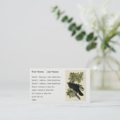 Carte De Visite Raven (Debout devant)