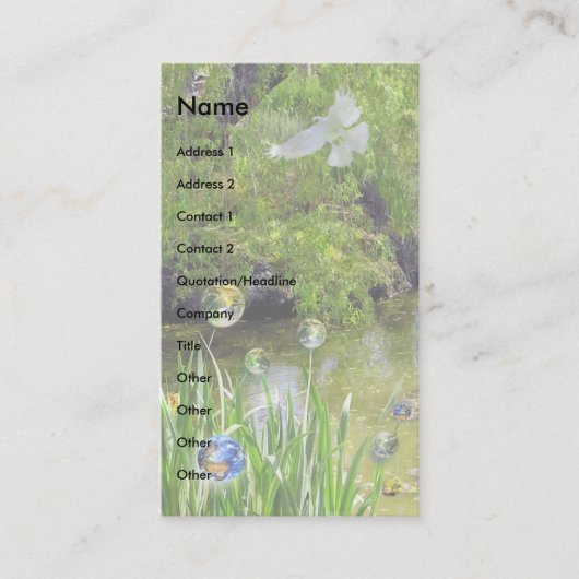 Carte De Visite Recycler la Terre ! (Devant)