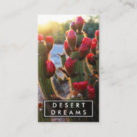 Red Cactus Flower Desert Garden Photo Voyage