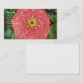 Carte De Visite Red Zinnia (Devant / Derrière)