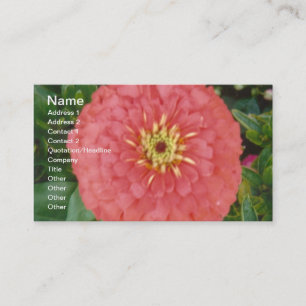 Carte De Visite Red Zinnia