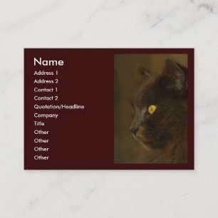 Carte De Visite Regard