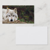 Carte De Visite Regard fixe de loup de bois de construction (Devant / Derrière)