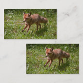 Carte De Visite Renard courant (Devant / Derrière)
