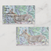 Carte De Visite Renard gris (Devant / Derrière)