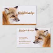 Carte De Visite Renard rouge (Devant / Derrière)