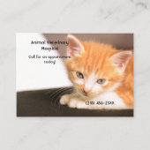 Carte De Visite Rendez-vous pour le soin des animaux de compagnie (Devant)