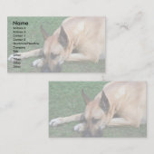 Carte De Visite Repos de Great Dane (Devant / Derrière)