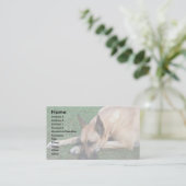 Carte De Visite Repos de Great Dane (Debout devant)