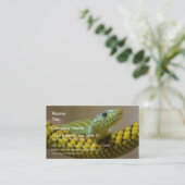 Carte De Visite Reptile de serpent (Debout devant)