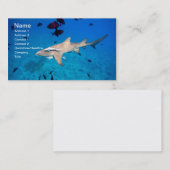 Carte De Visite Requin (Devant / Derrière)