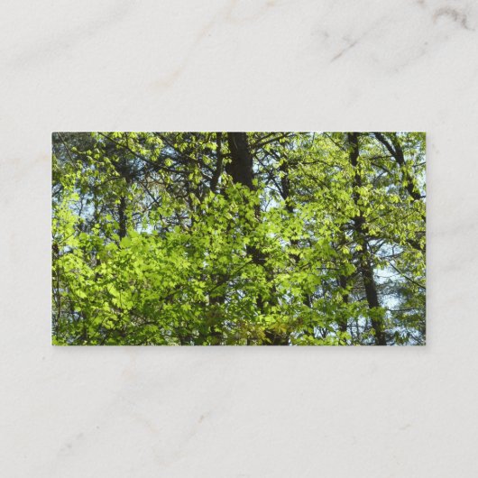 Carte De Visite Ressource Feuille (Dos)