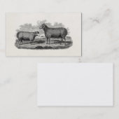 Carte De Visite Rétro ferme de 1800s de moutons d'illustration (Devant / Derrière)