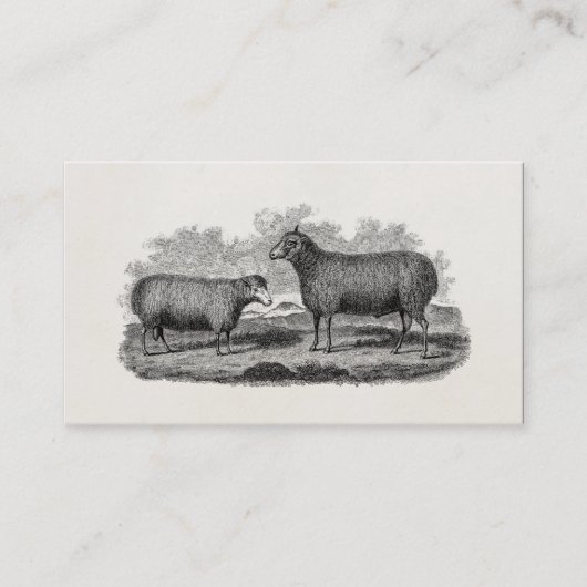 Carte De Visite Rétro ferme de 1800s de moutons d'illustration (Devant)