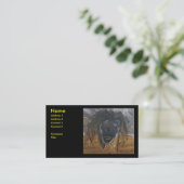 CARTE DE VISITE RÊVE DE SÉCURITÉ (Debout devant)