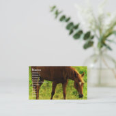 Carte De Visite Rêves de printemps, Sorrel Manger de l'herbe (Debout devant)