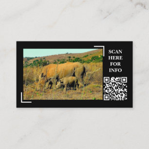 Carte De Visite Rhino and Reeds Wildlife Photography Custom