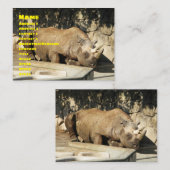 Carte De Visite Rhino couché (Devant / Derrière)