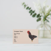 Carte De Visite Rhode Island Red Rooster (Debout devant)