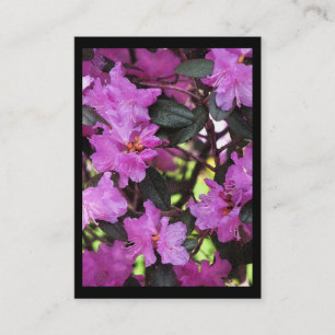 Carte De Visite Rhododendron ATC