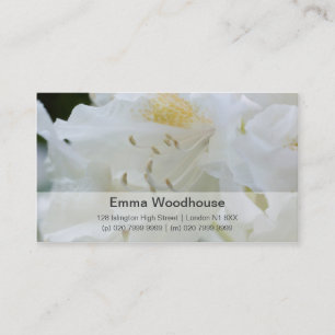 Carte De Visite Rhododendron blanc du rhododendron Weisse