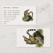 Carte De Visite Ringtail (Bassaris à queue annelée, Chat à queue a (Devant / Derrière)