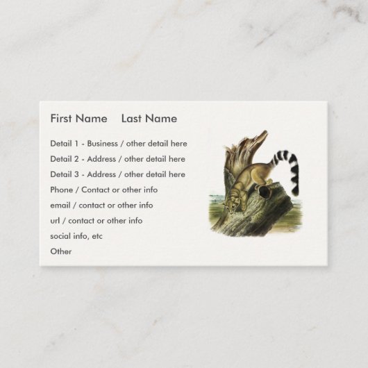 Carte De Visite Ringtail (Bassaris à queue annelée, Chat à queue a (Devant)