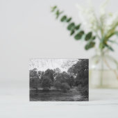 Carte De Visite River Taff, Bute Park, Cardiff (Debout devant)