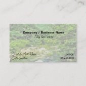 Carte De Visite Rivière Vallarta Sud 0366 (Devant)