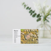 Carte De Visite Rivières Rocks (Debout devant)