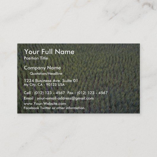 Carte De Visite Rizière, Indonésie (Devant)