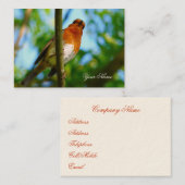 CARTE DE VISITE ROBIN (Devant / Derrière)