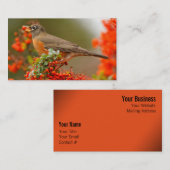 Carte De Visite Robin américain avec Pyracantha Pomme (Devant / Derrière)