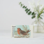 Carte De Visite Robin Vintage (Debout devant)