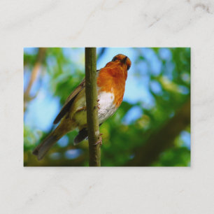 CARTE DE VISITE ROBINS