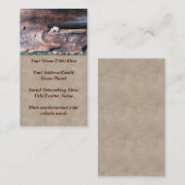 Carte De Visite Roches dans le rondin (Devant / Derrière)