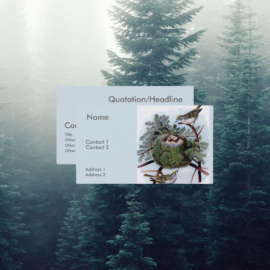 Carte De Visite roitelets à couronne dorée